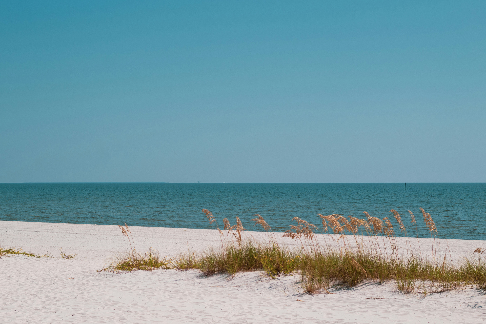 Sea oats swaying along a quiet Mississippi Gulf Coast beach